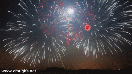 Festeggiamenti GIF GIF Buon 2019 Fuochi Artificio