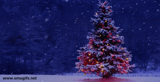 Christmas Backgrounds GIF Animation Best Wishes With Xmas Tree