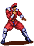 M Bison