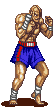 Sagat