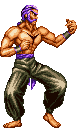 Sheng Long Character