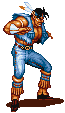 T Hawk