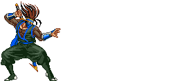 Saizo Tobikageno Ninja Character 13