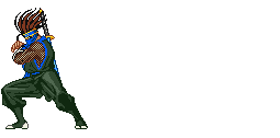 Saizo Tobikageno Ninja Character 14