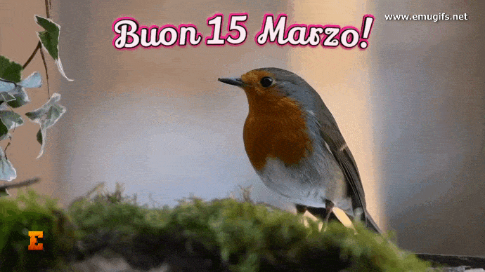 Buon 15 Marzo GIF del Buongiorno con Bellissimo Uccellino che Mangia Scarica Gratis e Invia come Cartolina di Auguri Animata per Augurare una Buona Giornata del Mese di Marzo