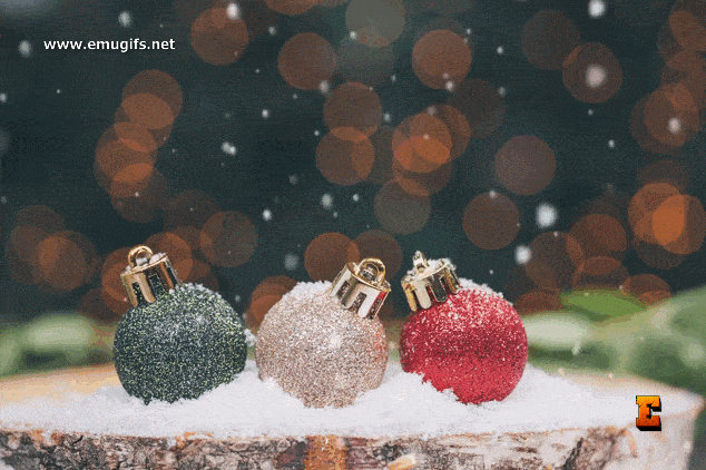 Merry Xmas GIF Animata con Auguri di Buon Natale in Lingua Inglese Scarica Gratis la Cartolina per le Feste Natalizie di Dicembre Merry Xmas GIF Animata con Auguri di Buon Natale in Lingua Inglese Scarica Gratis la Cartolina per le Feste Natalizie di Dicembre